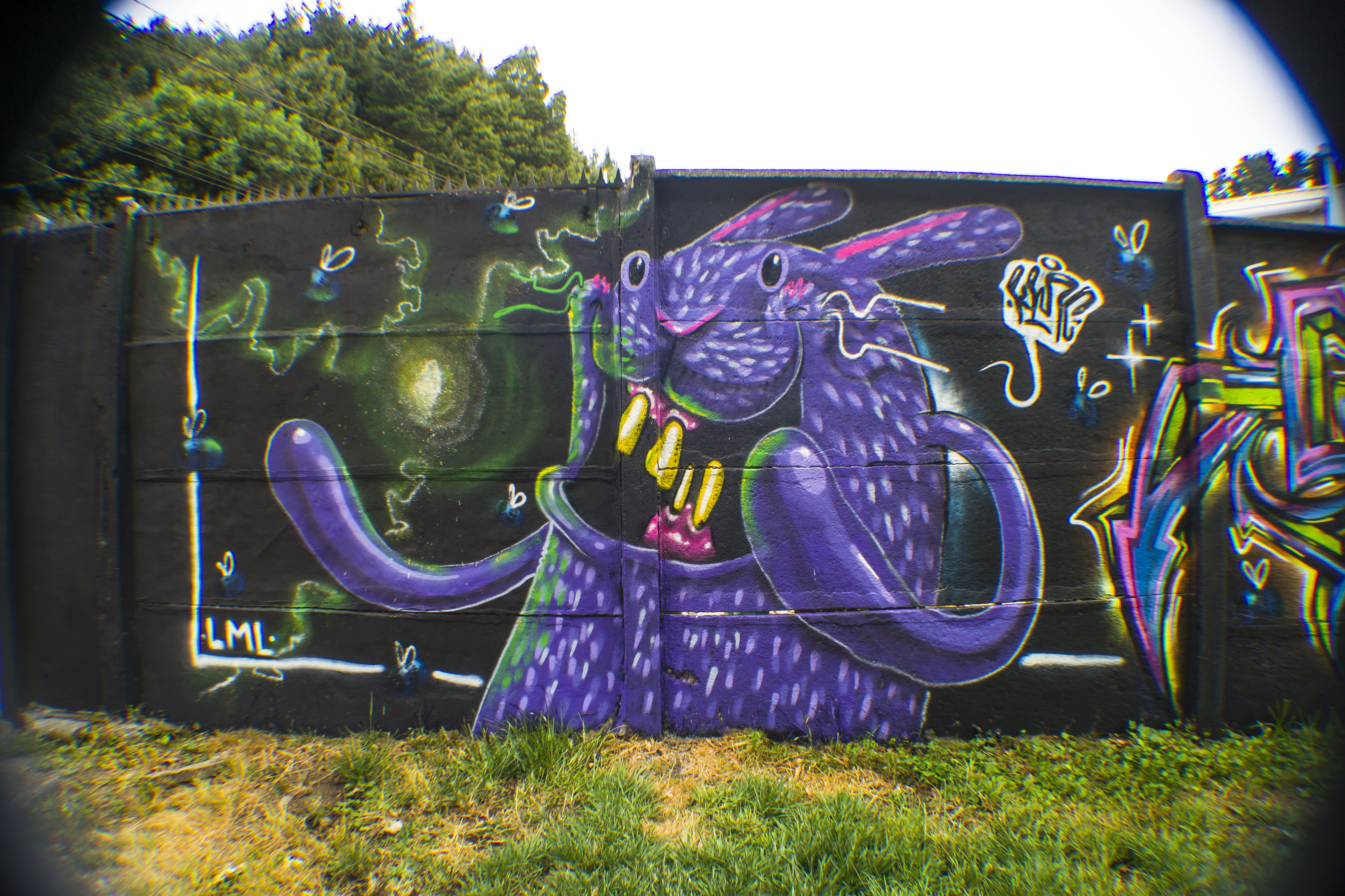 Muro Zeck + Kmc